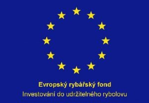 Evropský rybářský fond logo