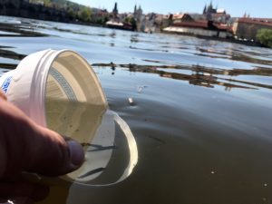 0) vysazování štičky do Vltavy 5 - 3.5.23